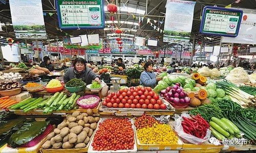 战疫情稳民生 杨凌多措并举保障日用品批发市场供应